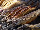 Fisch